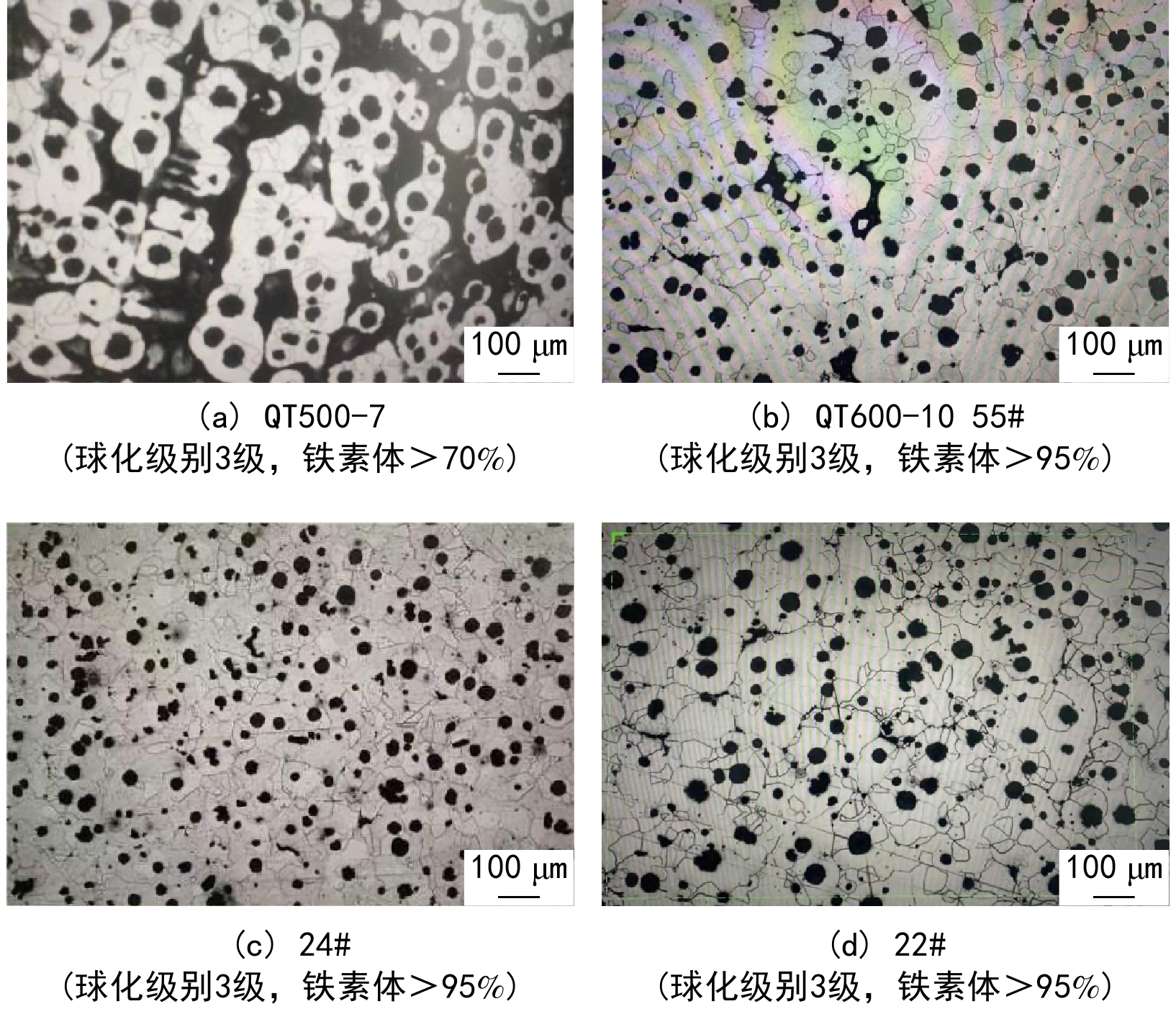 球墨铸铁金相组织